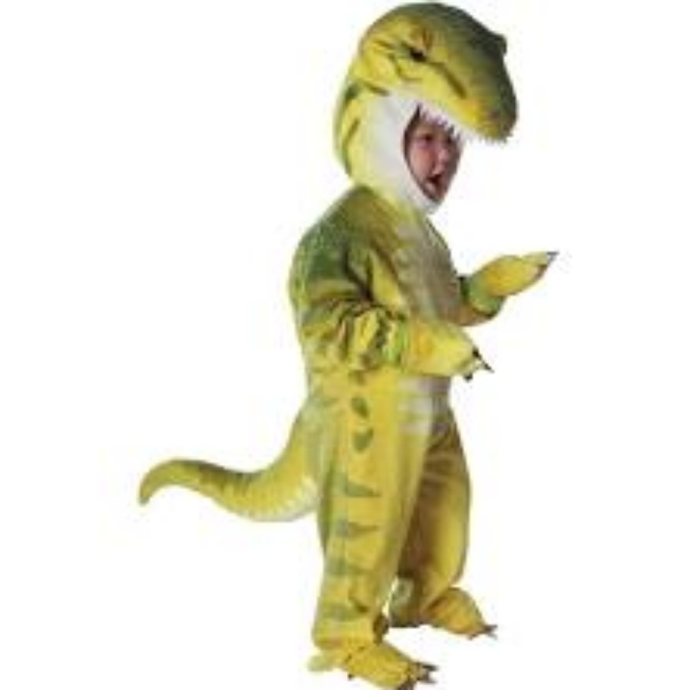 Dinosaur Costume